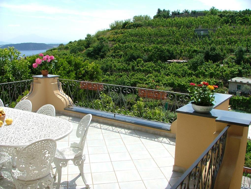 Villa Rosalia Barano dʼIschia Екстериор снимка